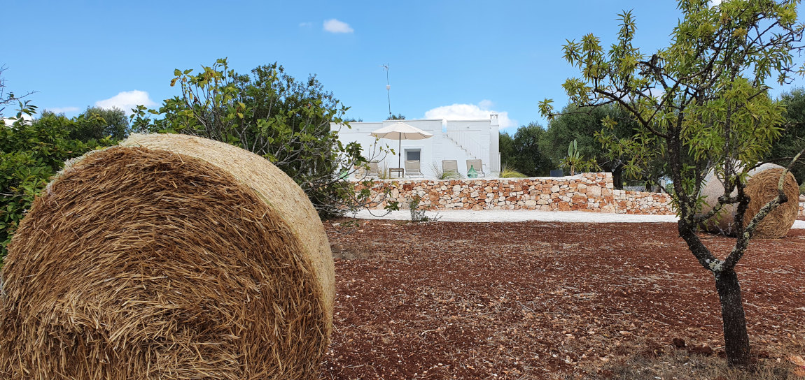 big_1053villa_experiences_villa_dimora_bianca_1