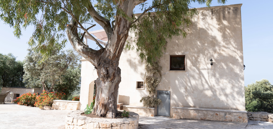 big_824villa_experiences_villa_donna_rosa_6