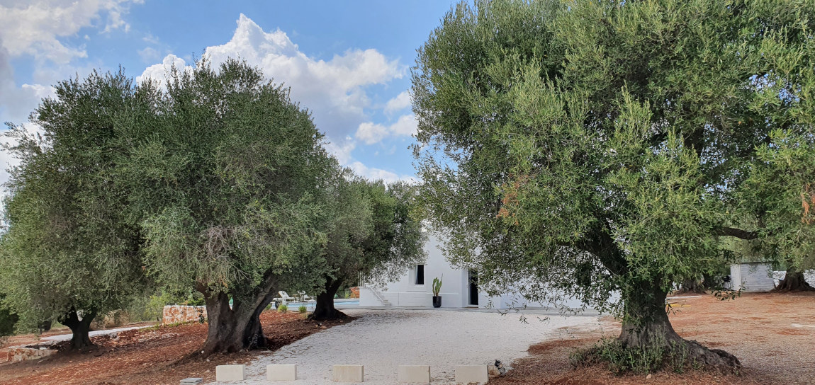 big_villa_experiences_villa_dimora_bianca_14