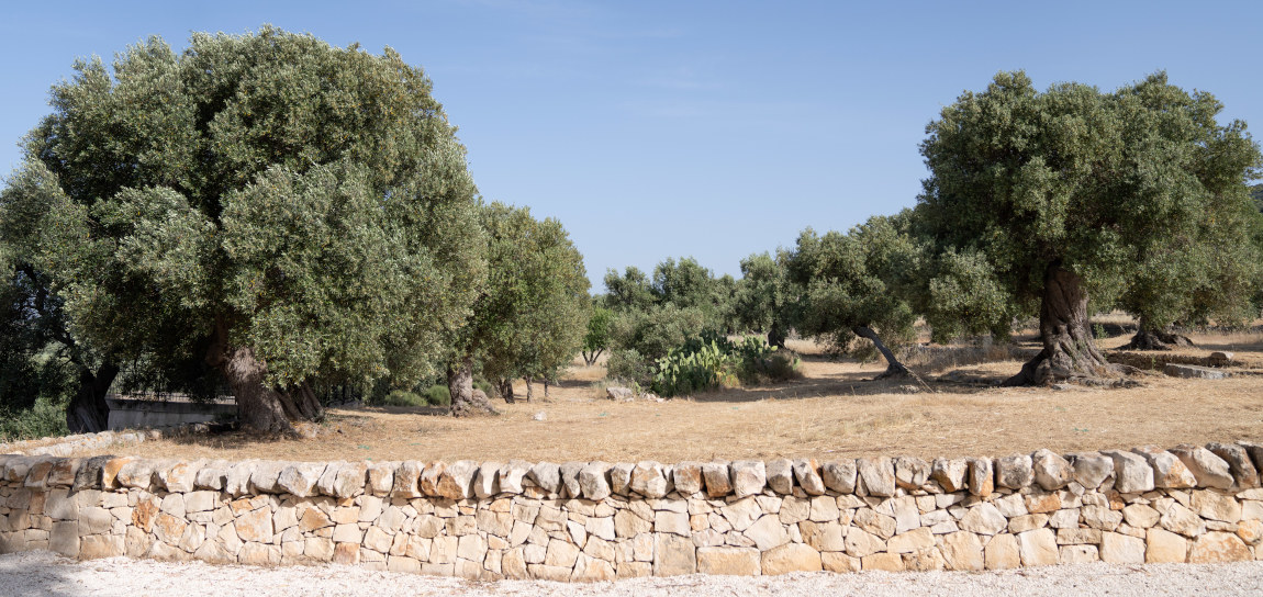 big_villa_experiences_villa_dimora_bianca_new_12