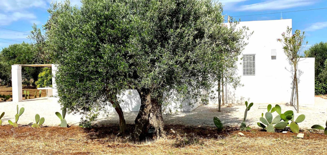 big_villa_experiences_villa_lamia_lamann_4