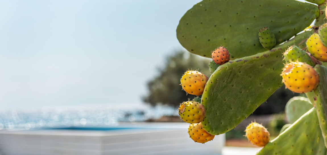 big_villa_experiences_villa_villa_marea_18