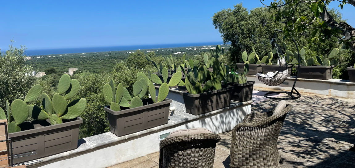 villa_experiences_villa_donna_rosanna_galleria_2023_4