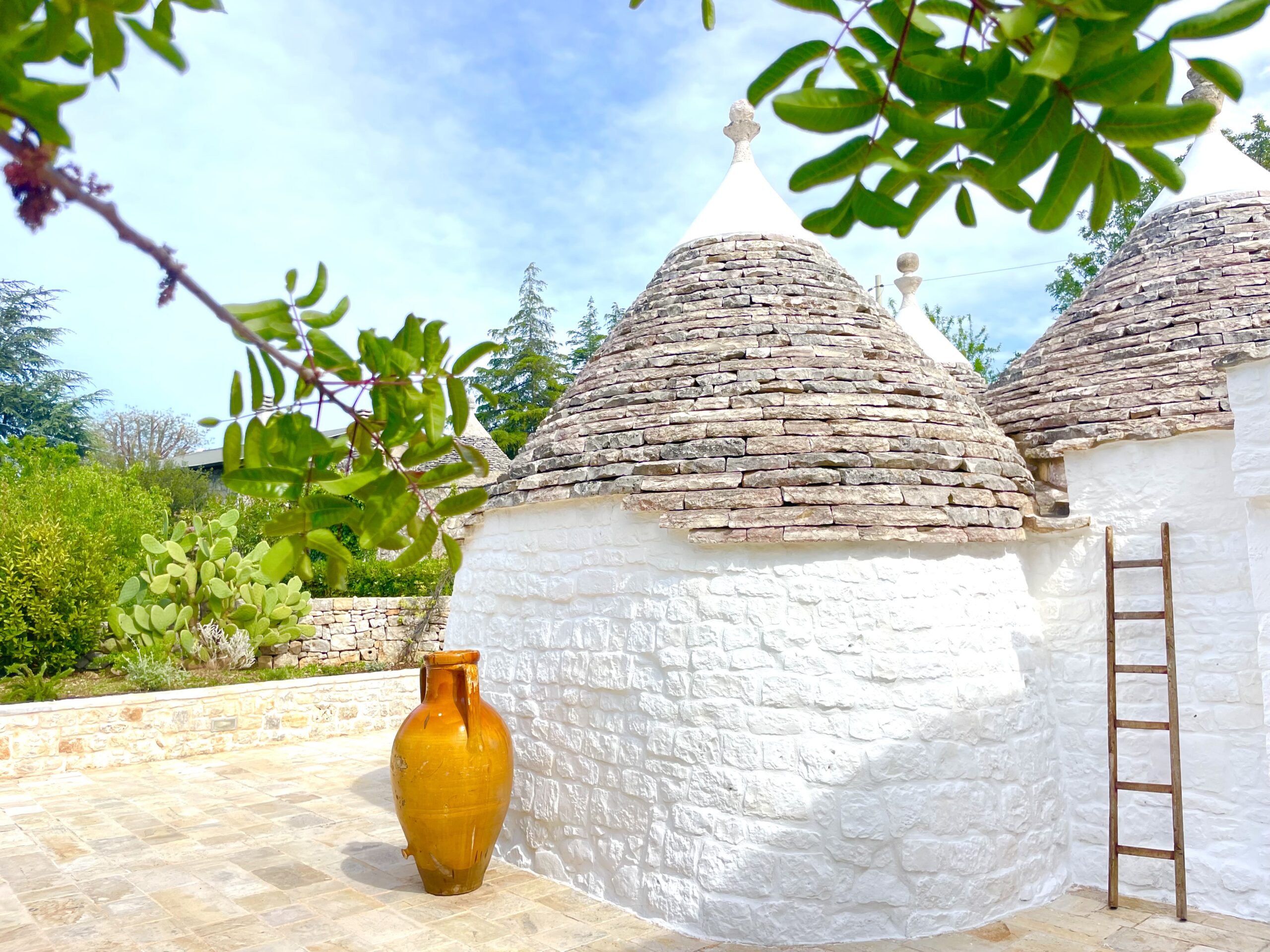 Foto 30-04-24, 15 14 27