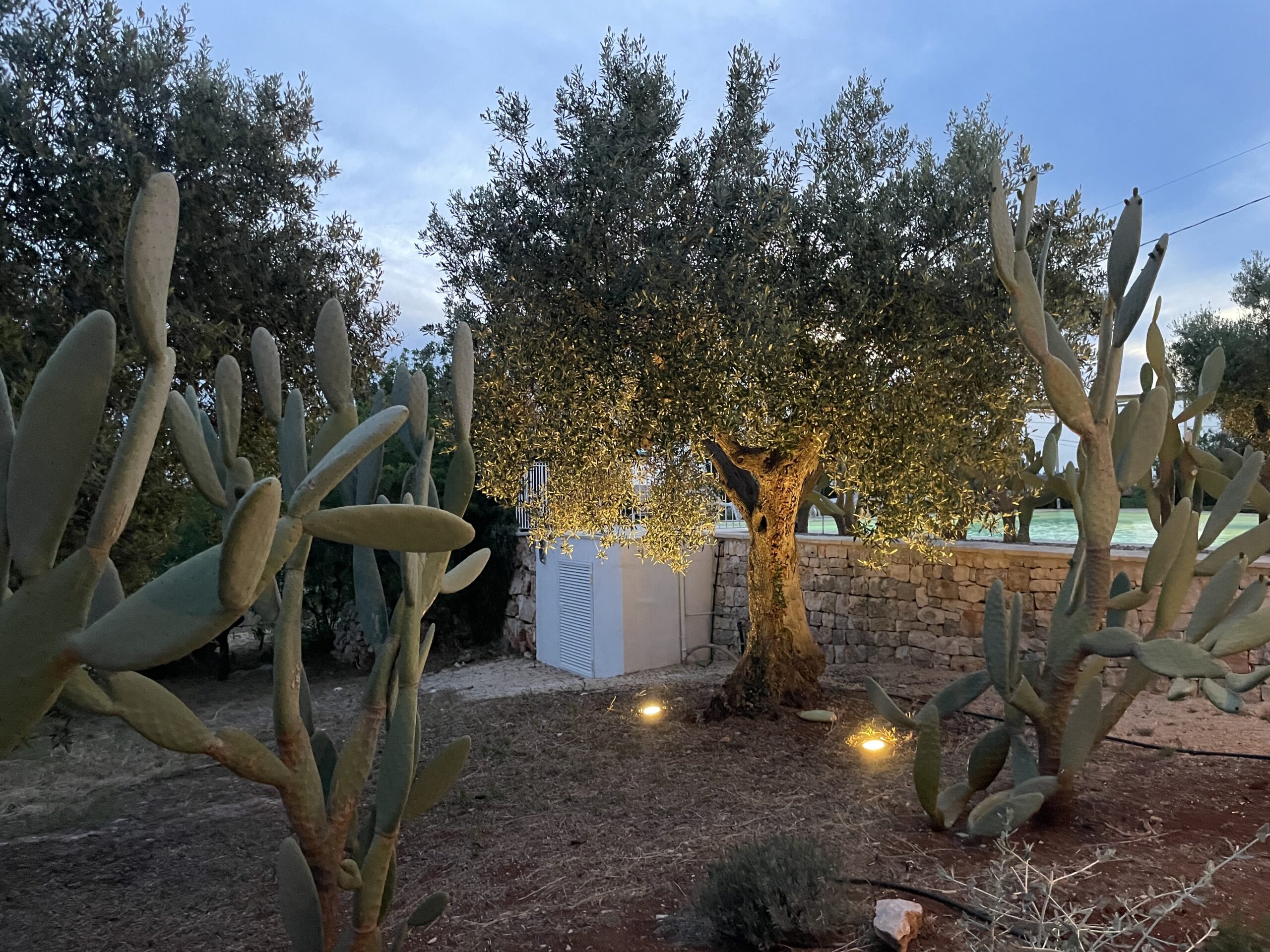 Foto 30-04-24, 20 05 50