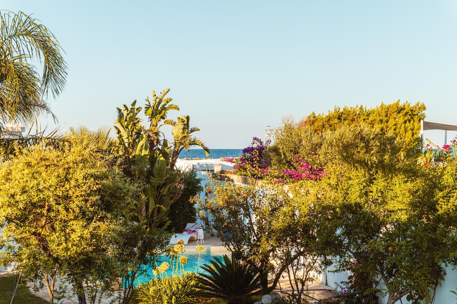 WhatsApp Image 2025-03-22 at 15.56.21