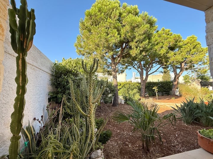Villa Grazia - foto 33