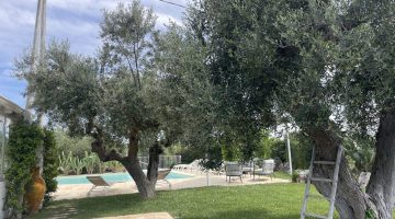 Foto 30-04-24, 15 13 42