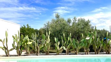 Foto 30-04-24, 16 02 43