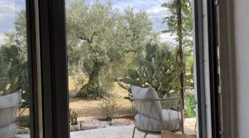 Foto 30-04-24, 16 17 12