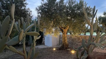 Foto 30-04-24, 20 05 50