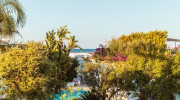 WhatsApp Image 2025-03-22 at 15.56.21