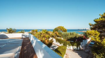 WhatsApp Image 2025-03-22 at 15.56.26 (4)