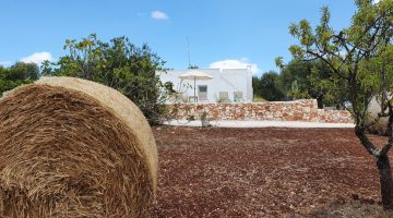 big_1053villa_experiences_villa_dimora_bianca_1