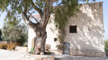 big_824villa_experiences_villa_donna_rosa_6