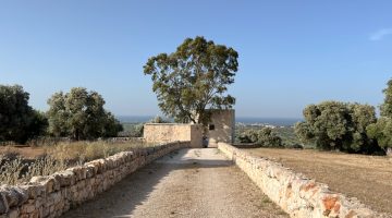 big_904villa_experiences_villa_donna_rosa_1