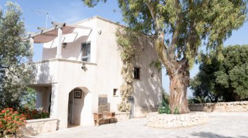 big_950villa_experiences_villa_donna_rosa_7