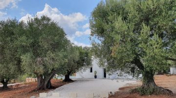 big_villa_experiences_villa_dimora_bianca_14