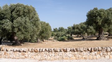 big_villa_experiences_villa_dimora_bianca_new_12