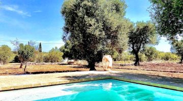 big_villa_experiences_villa_lamia_lamann_14